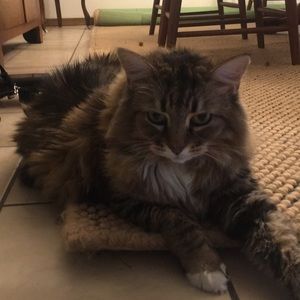 Meet your Posher, Kathy